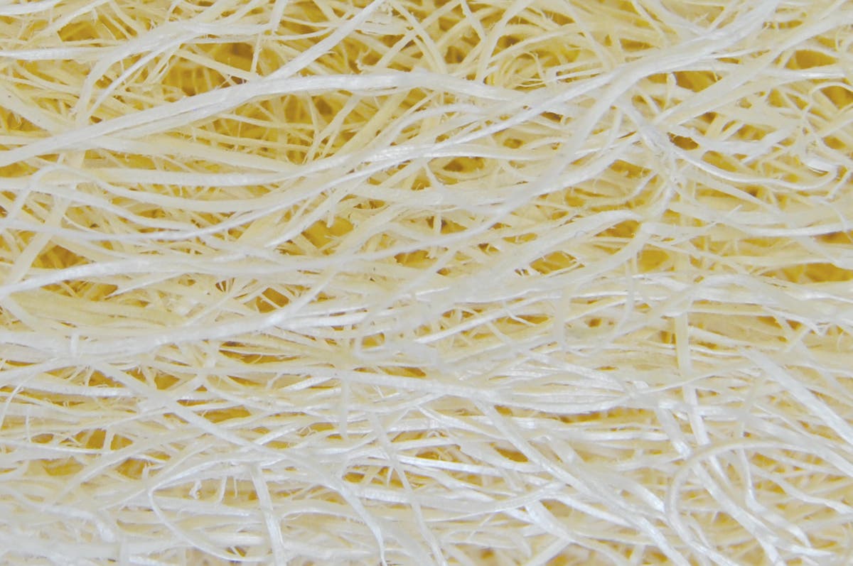 Excelsior | Natural | 1 lb Bag - Eddie's Hang-Up Display Ltd.