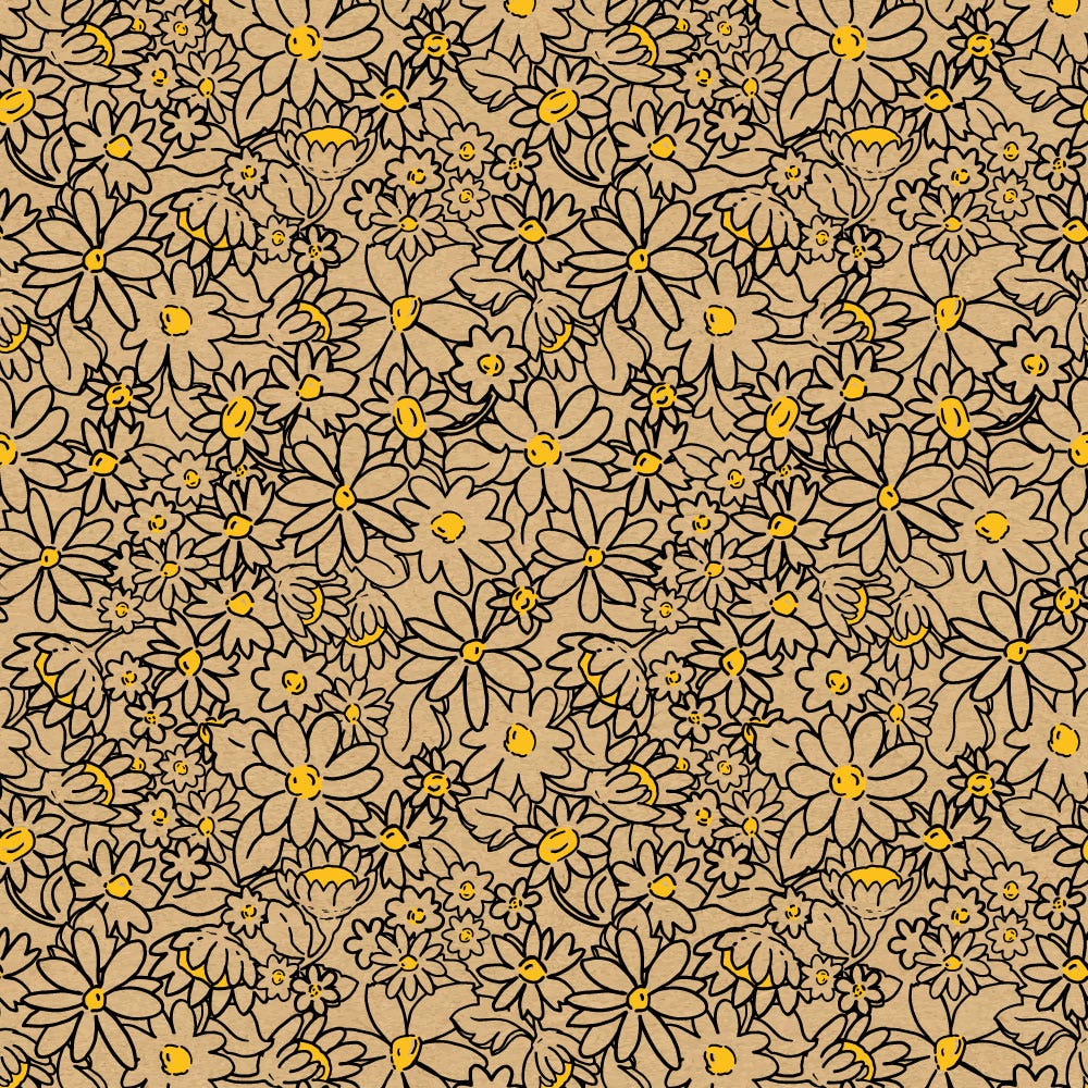 Daisies Gift Wrap | Kraft | 24" x 100' - Eddie's Hang-Up Display Ltd.