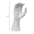 Forme de main masculine et affichage de gants | Noir blanc