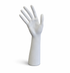 White hand display form on a white background
