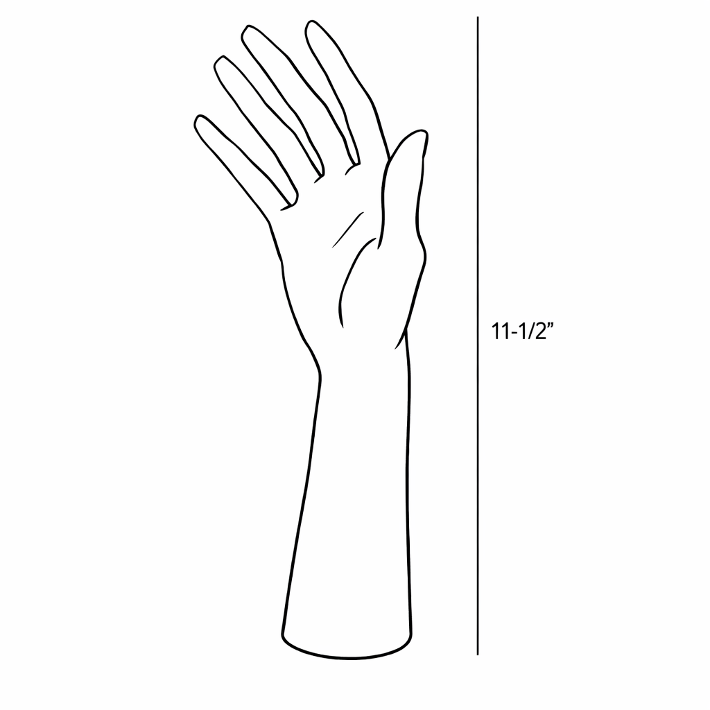 hand display form on a white background with dimensions