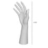 Tall Female Display Hand | Straight | 11-1/2"