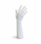 White hand display form on a white background