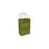 Leaf Green 100% Recycled Kraft Paper Bags With Handles