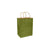 Leaf Green 100% Recycled Kraft Paper Bags With Handles - Eddie's Hang-Up Display Ltd.