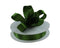 Double Faced Satin Ribbon | 100 Yard Rolls - Eddie's Hang-Up Display Ltd.