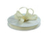 Grosgrain Ribbon | 100 Yard Rolls | Clearance - Eddie's Hang-Up Display Ltd.