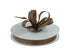 Grosgrain Ribbon | 100 Yard Rolls - Eddie's Hang-Up Display Ltd.