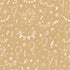La Boom Gift Wrap | 24" x 100'