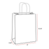 Aqua Teal 100% Recycled Kraft Paper Bags With Handles - Eddie's Hang-Up Display Ltd.