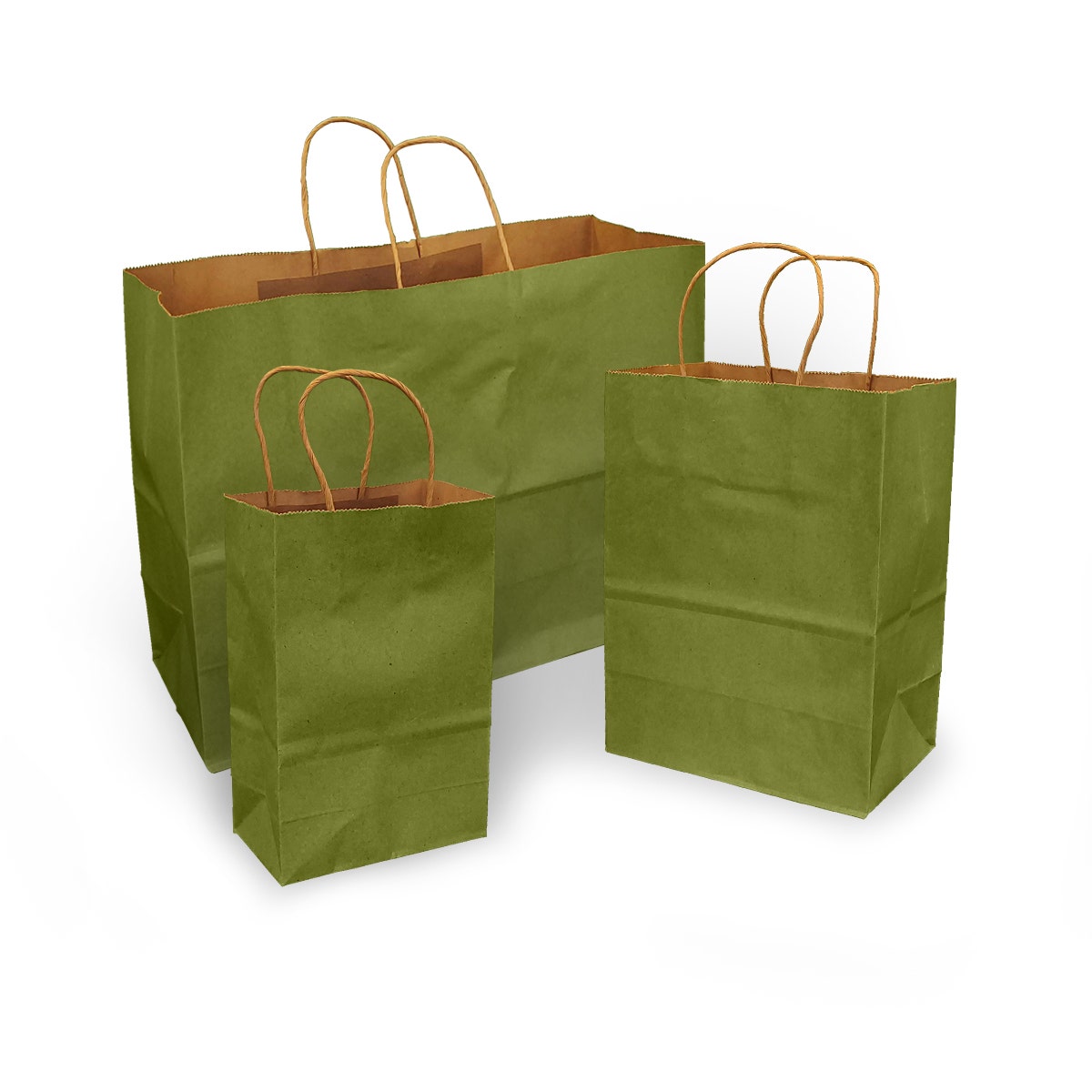 Leaf Green 100% Recycled Kraft Paper Bags With Handles
